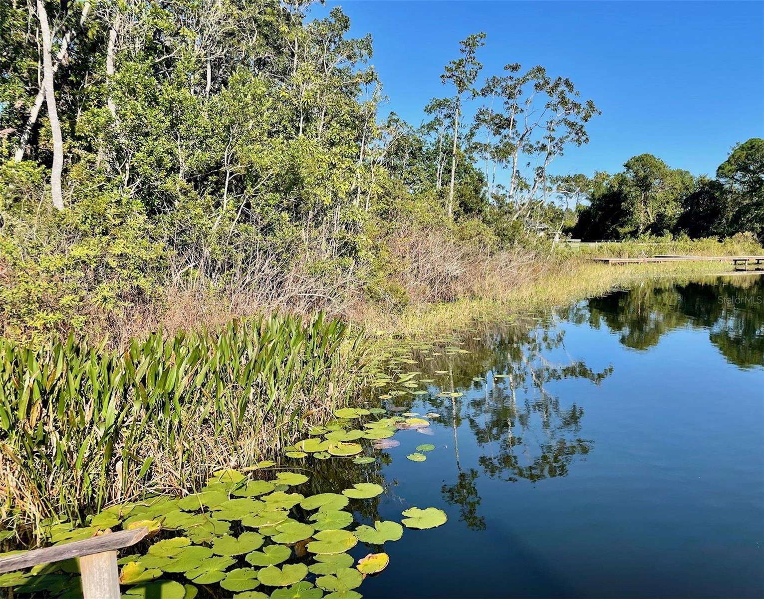 000 FISHER RUN, OCKLAWAHA, FL — photo 5