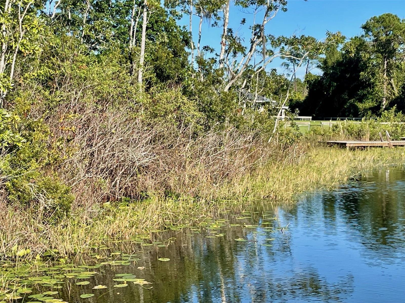 000 FISHER RUN, OCKLAWAHA, FL — photo 6