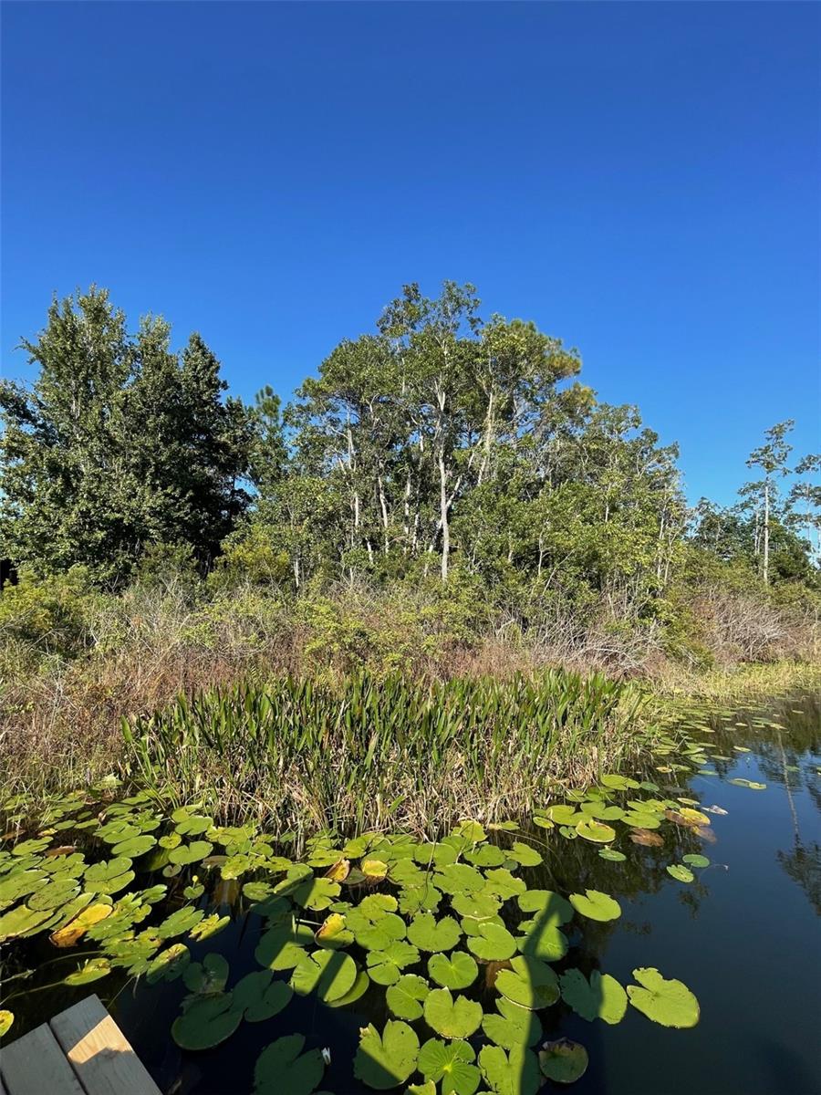 000 FISHER RUN, OCKLAWAHA, FL — photo 7