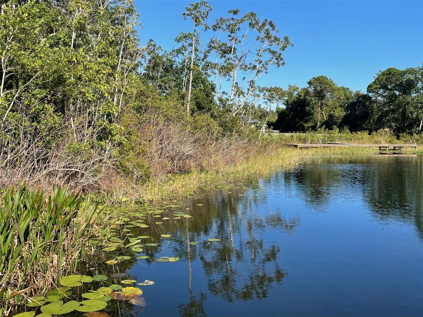 000 FISHER RUN, OCKLAWAHA, FL — photo 8
