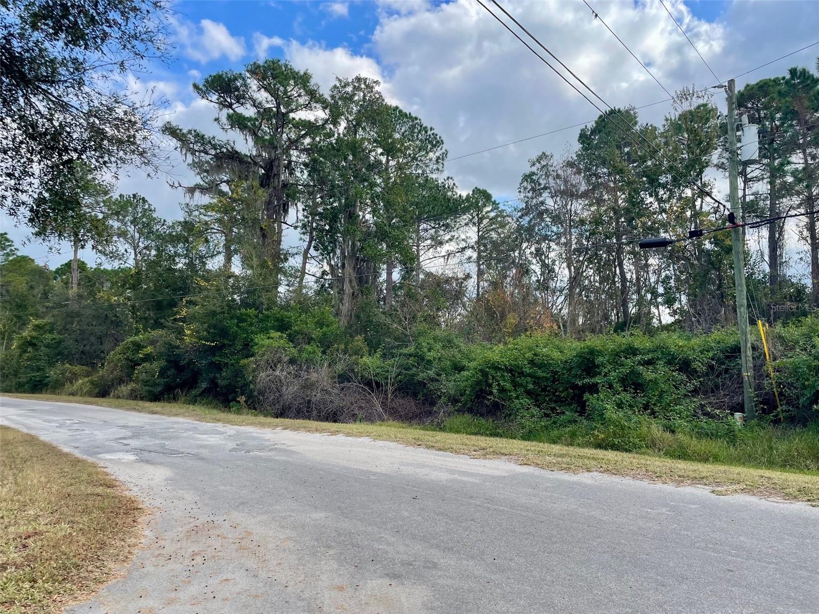 000 FISHER RUN, OCKLAWAHA, FL — photo 3