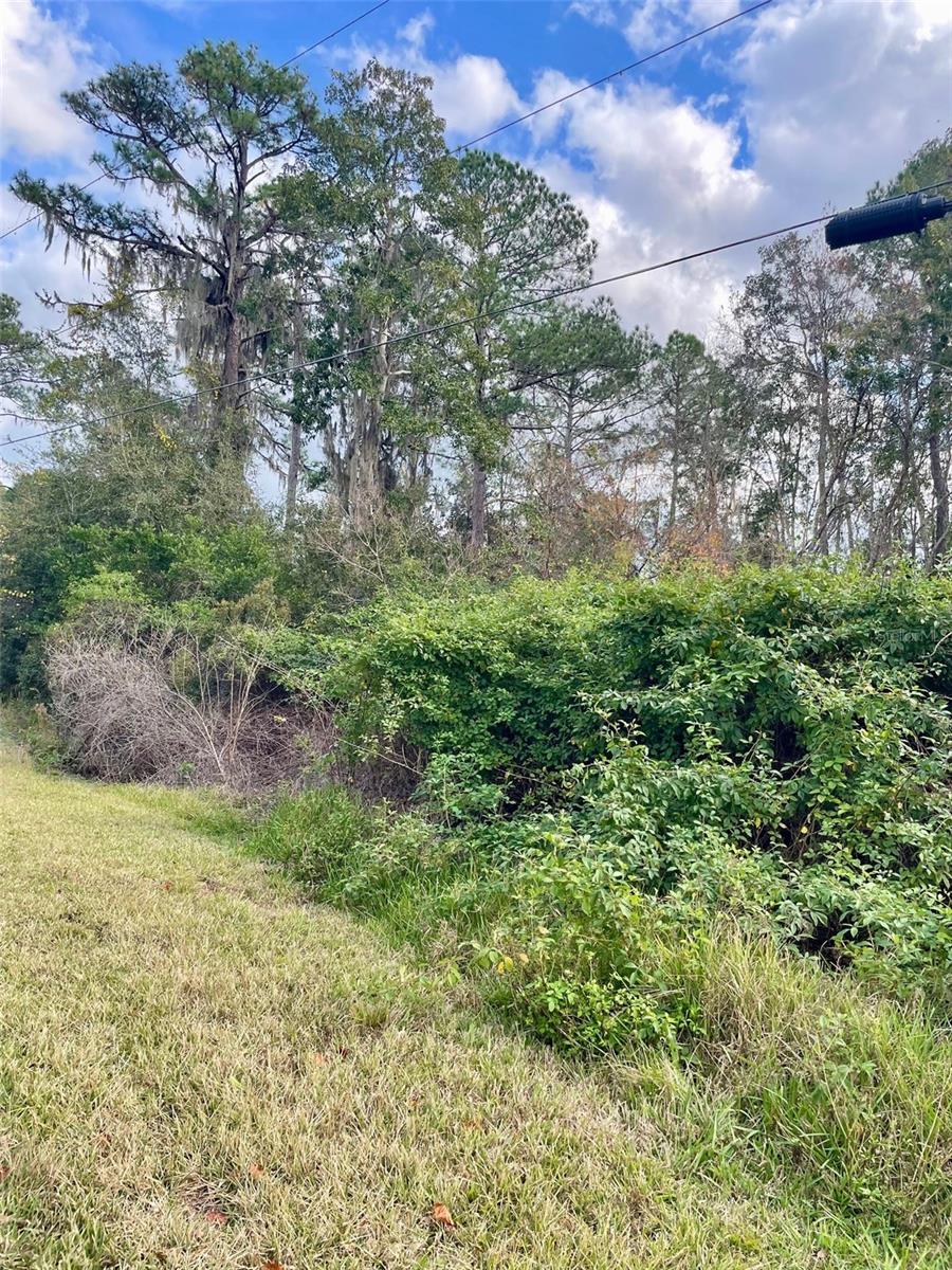 000 FISHER RUN, OCKLAWAHA, FL — photo 4