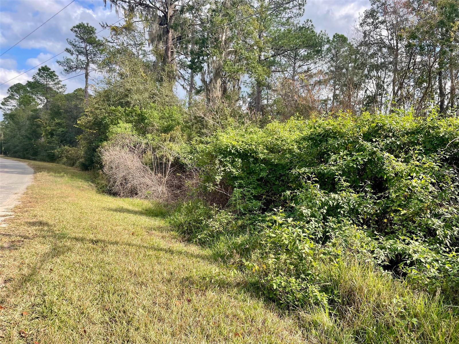 000 FISHER RUN, OCKLAWAHA, FL — photo 2