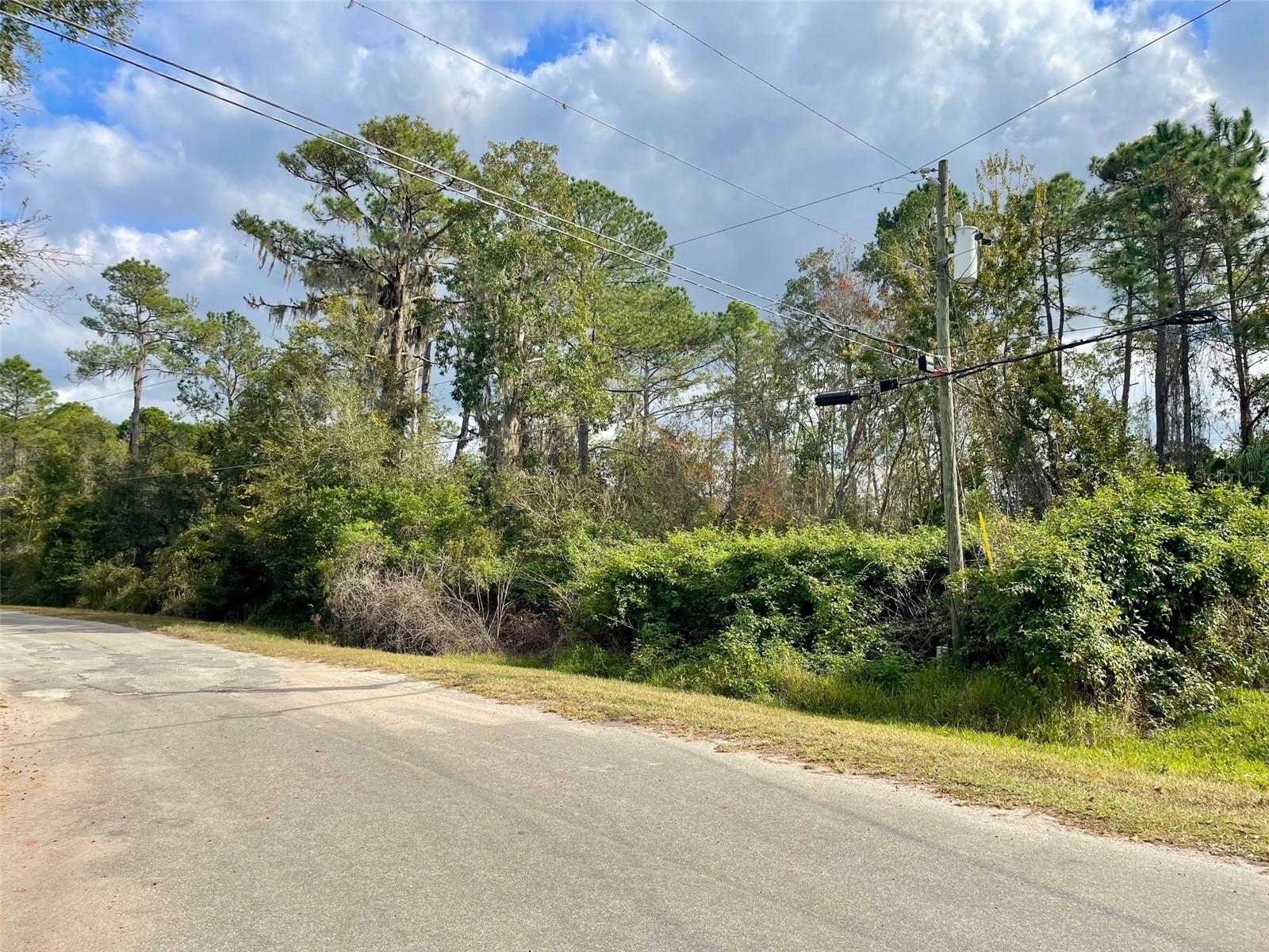 000 FISHER RUN, OCKLAWAHA, FL