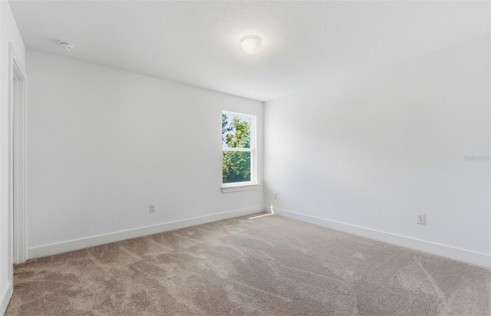 1662 SHIELDS PT, ZEPHYRHILLS, FL — photo 17