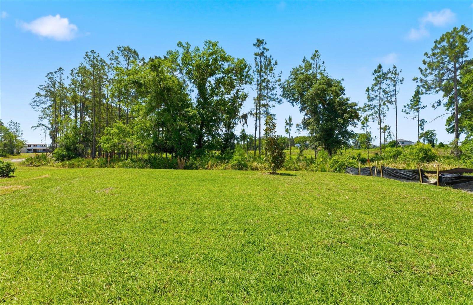 1662 SHIELDS PT, ZEPHYRHILLS, FL — photo 21