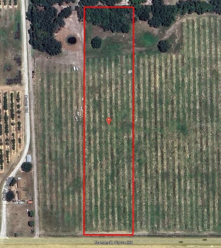 MAMMOTH GROVE RD, LAKE WALES, FL