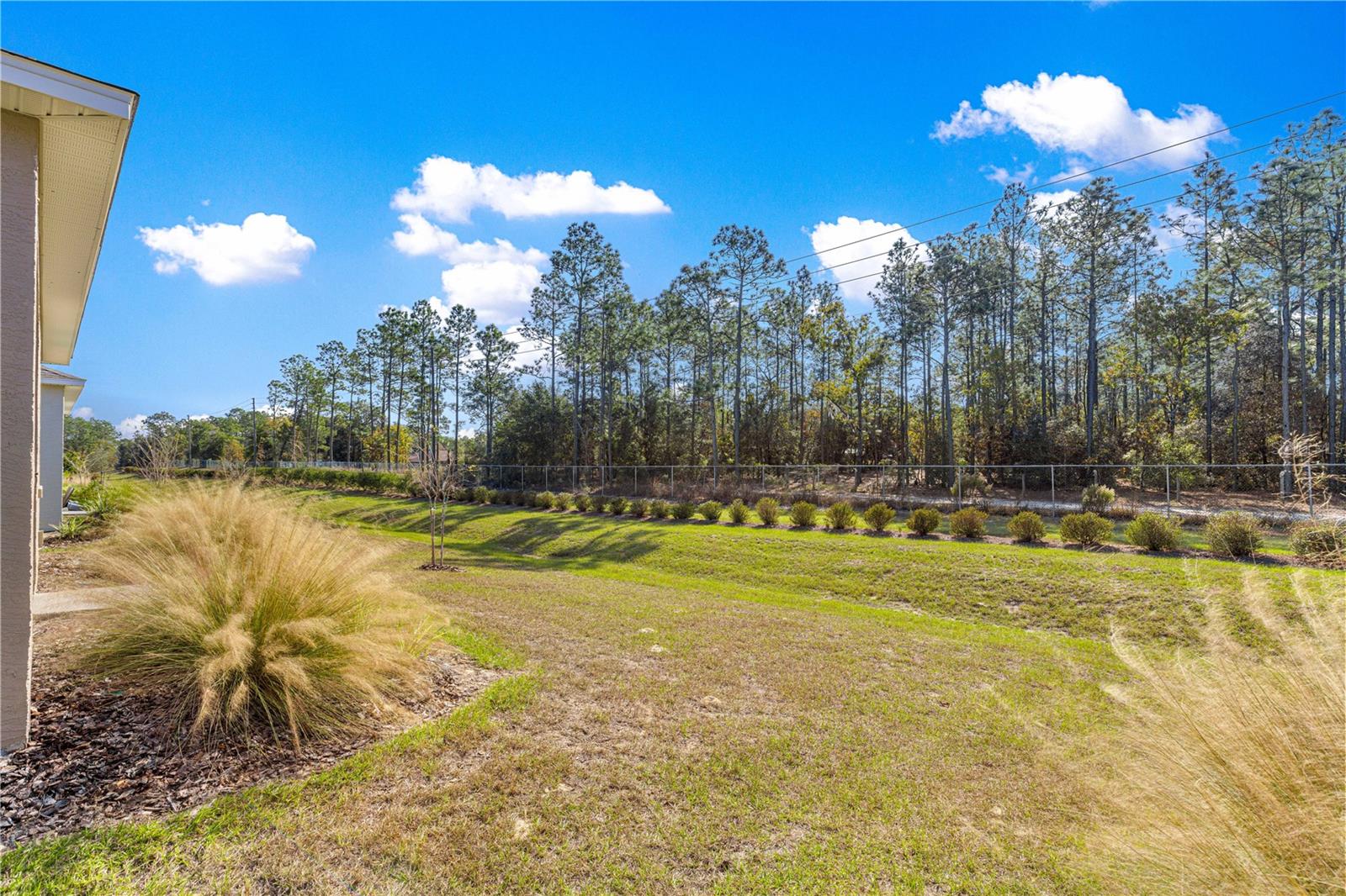 10242 SW 99TH LN, OCALA, FL — photo 50