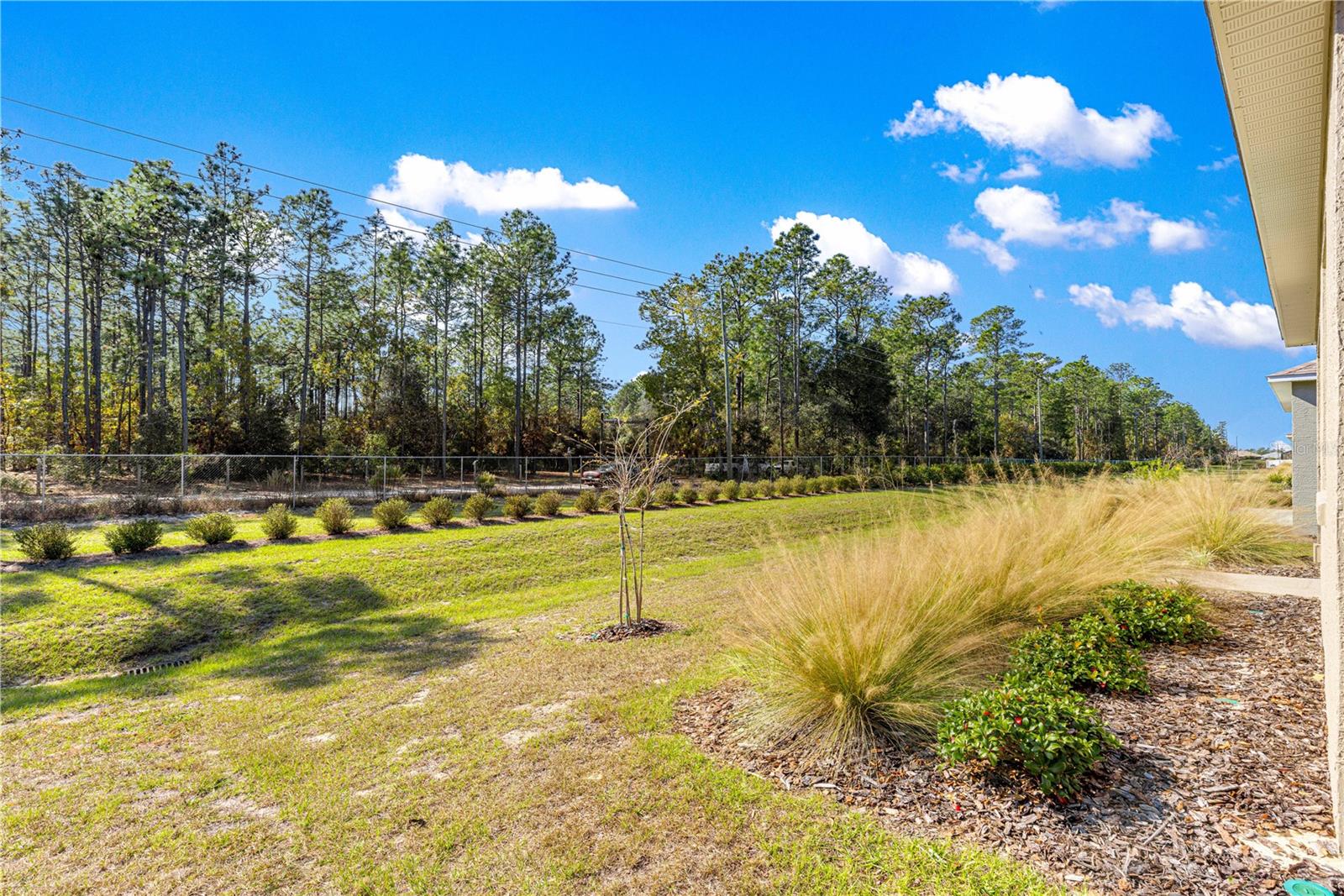 10242 SW 99TH LN, OCALA, FL — photo 51