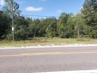 341 S COUNTY ROAD 315, INTERLACHEN, FL — photo 3