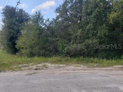 341 S COUNTY ROAD 315, INTERLACHEN, FL — photo 7