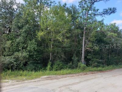 341 S COUNTY ROAD 315, INTERLACHEN, FL — photo 9