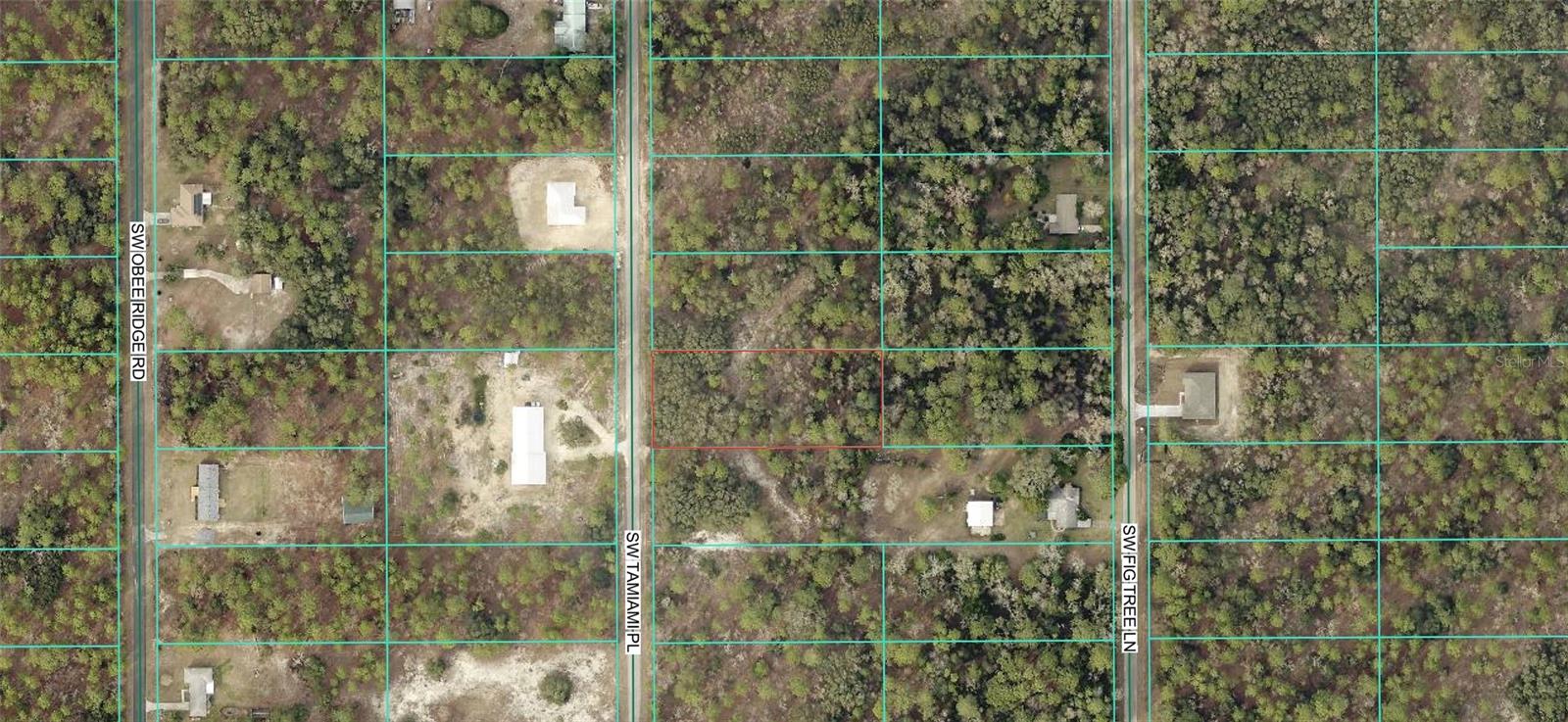 0 TBD SW TAMIAMI PL, DUNNELLON, FL — photo 2