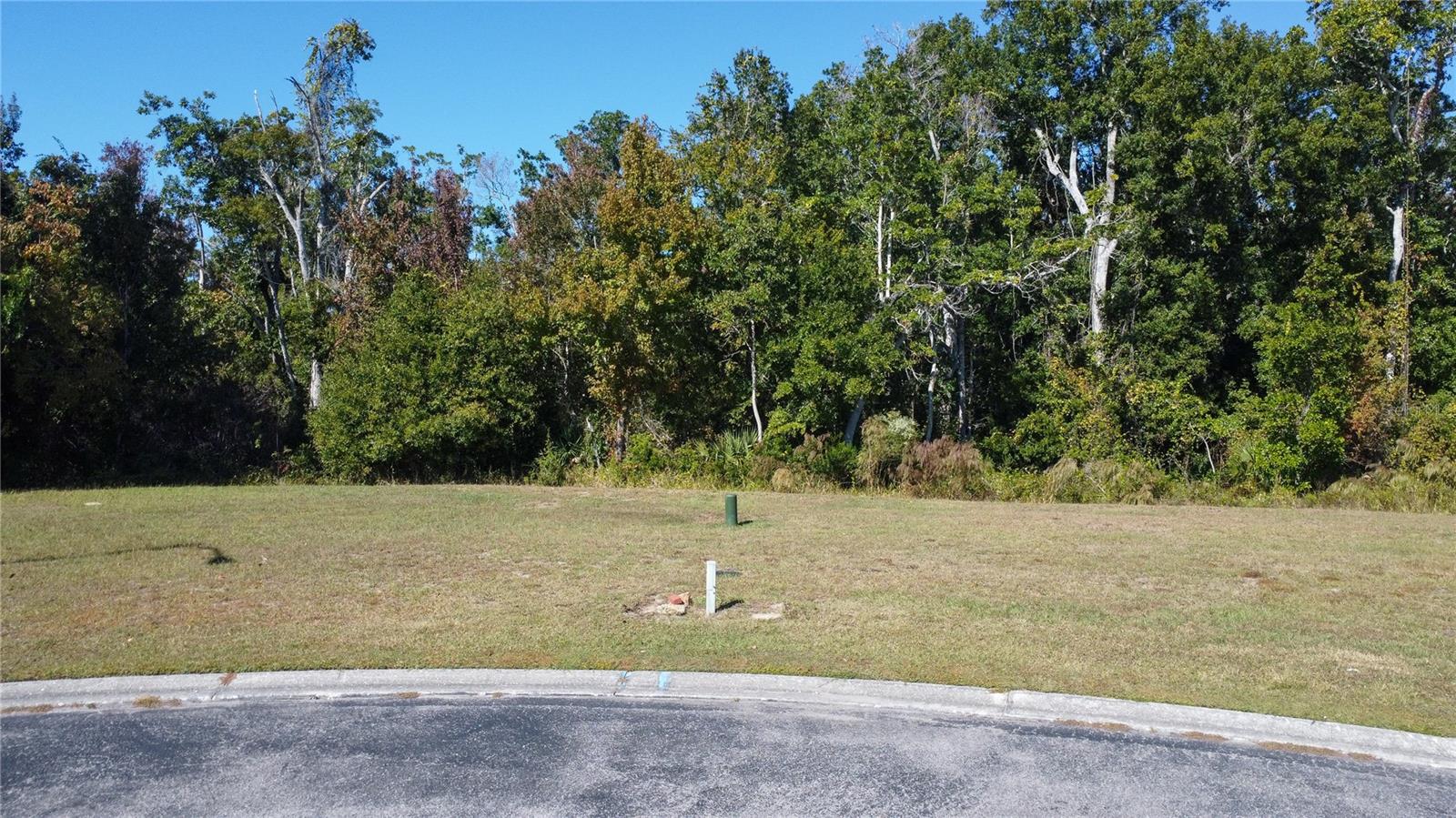 0 FOREST GLENN DR, SPRING HILL, FL — photo 2