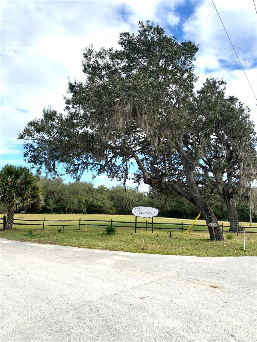 15991 NE 243RD PLACE RD #54, FORT MC COY, FL — photo 3