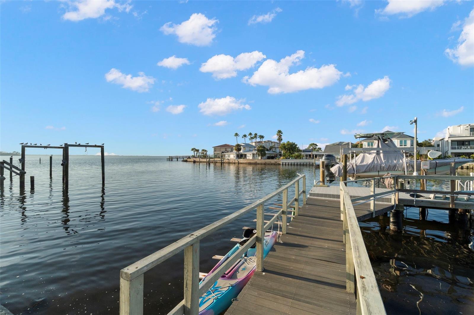 2288 EDYTHE DR, DUNEDIN, FL — photo 40