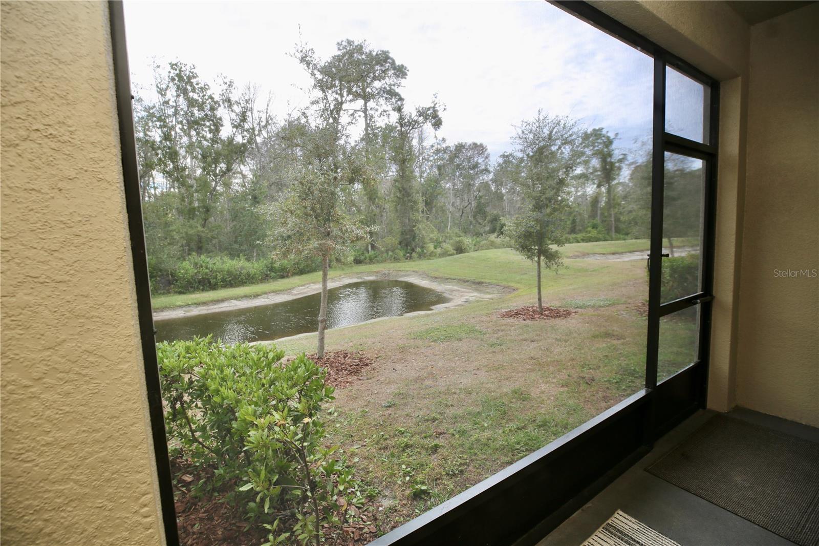 17620 NECTAR FLUME DR, LAND O LAKES, FL — photo 18