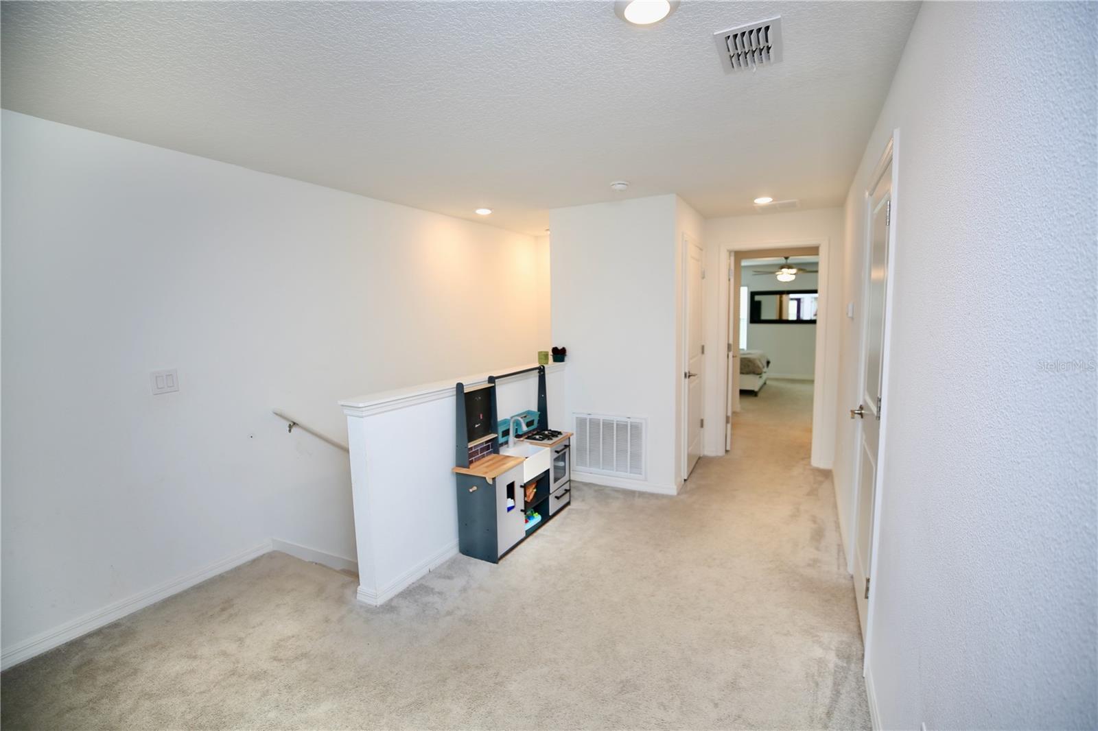 17620 NECTAR FLUME DR, LAND O LAKES, FL — photo 23