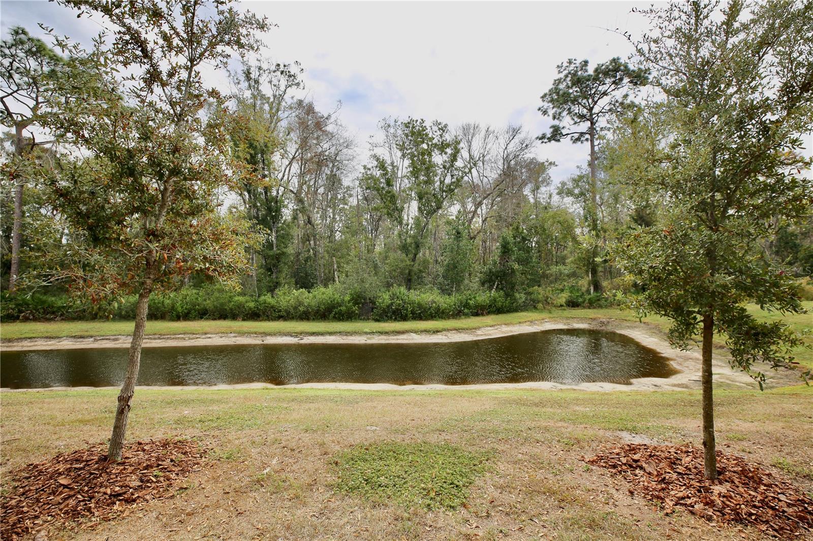 17620 NECTAR FLUME DR, LAND O LAKES, FL — photo 33