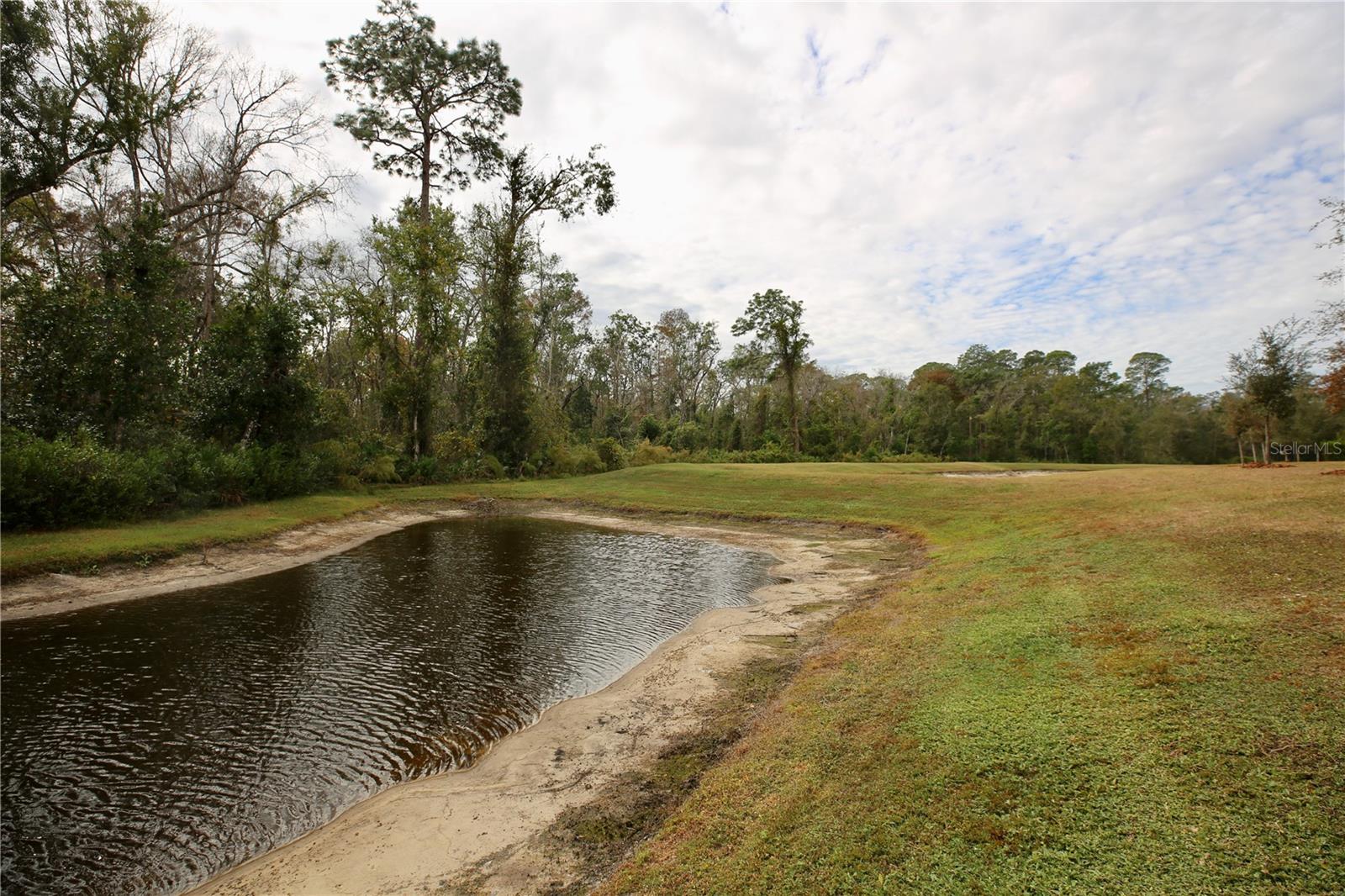 17620 NECTAR FLUME DR, LAND O LAKES, FL — photo 35