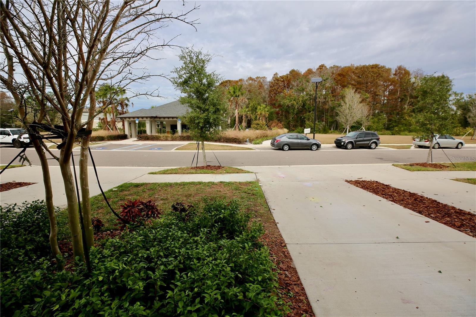 17620 NECTAR FLUME DR, LAND O LAKES, FL — photo 36