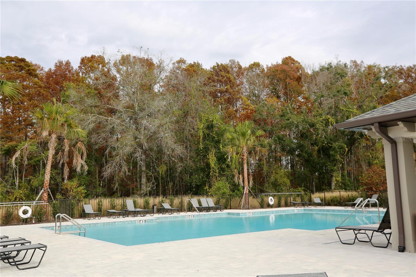 17620 NECTAR FLUME DR, LAND O LAKES, FL — photo 39