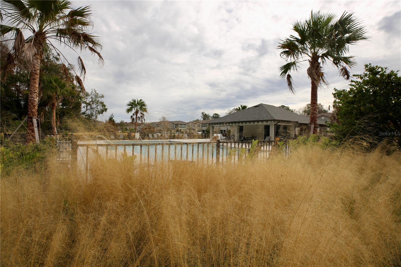 17620 NECTAR FLUME DR, LAND O LAKES, FL — photo 46