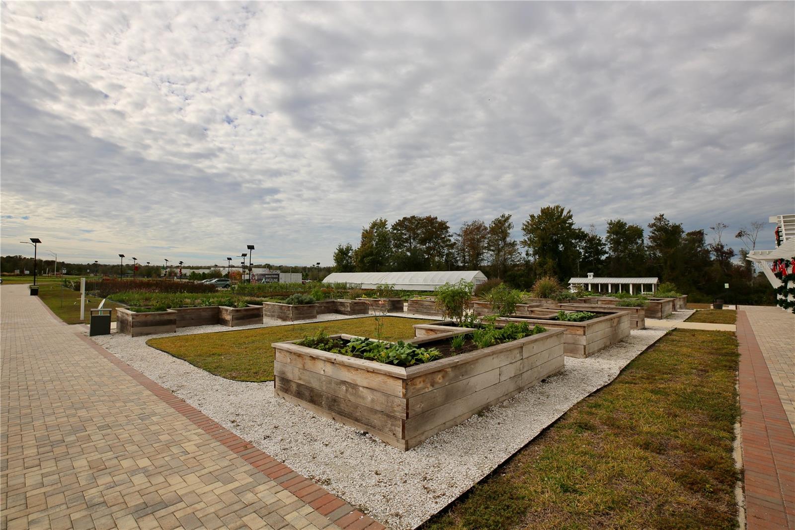 17620 NECTAR FLUME DR, LAND O LAKES, FL — photo 56