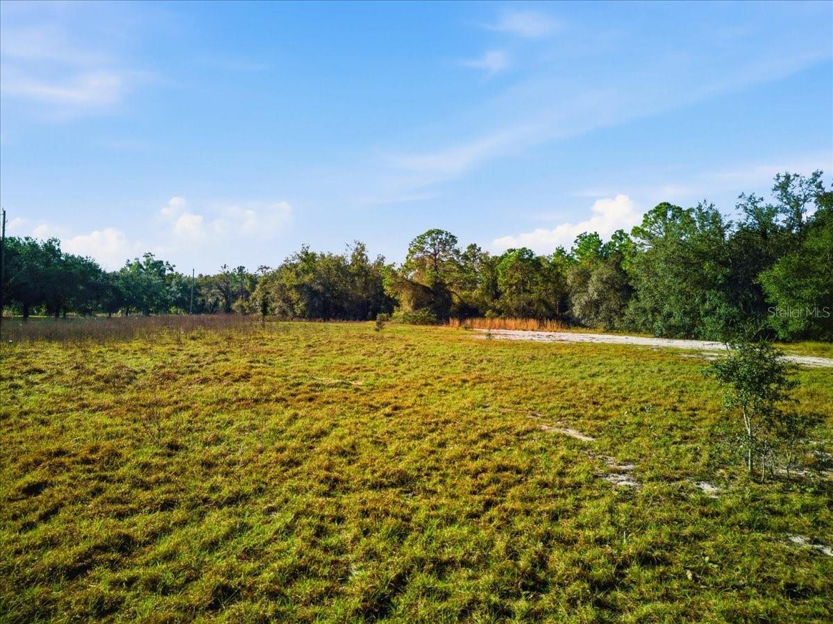 LAKE ERIE RD, GROVELAND, FL — photo 7