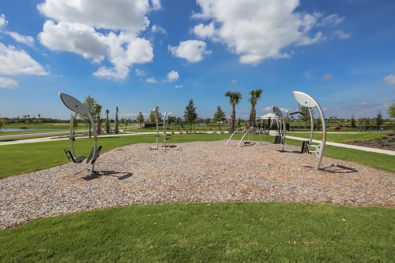 6207 VOYAGERS PL, APOLLO BEACH, FL — photo 89