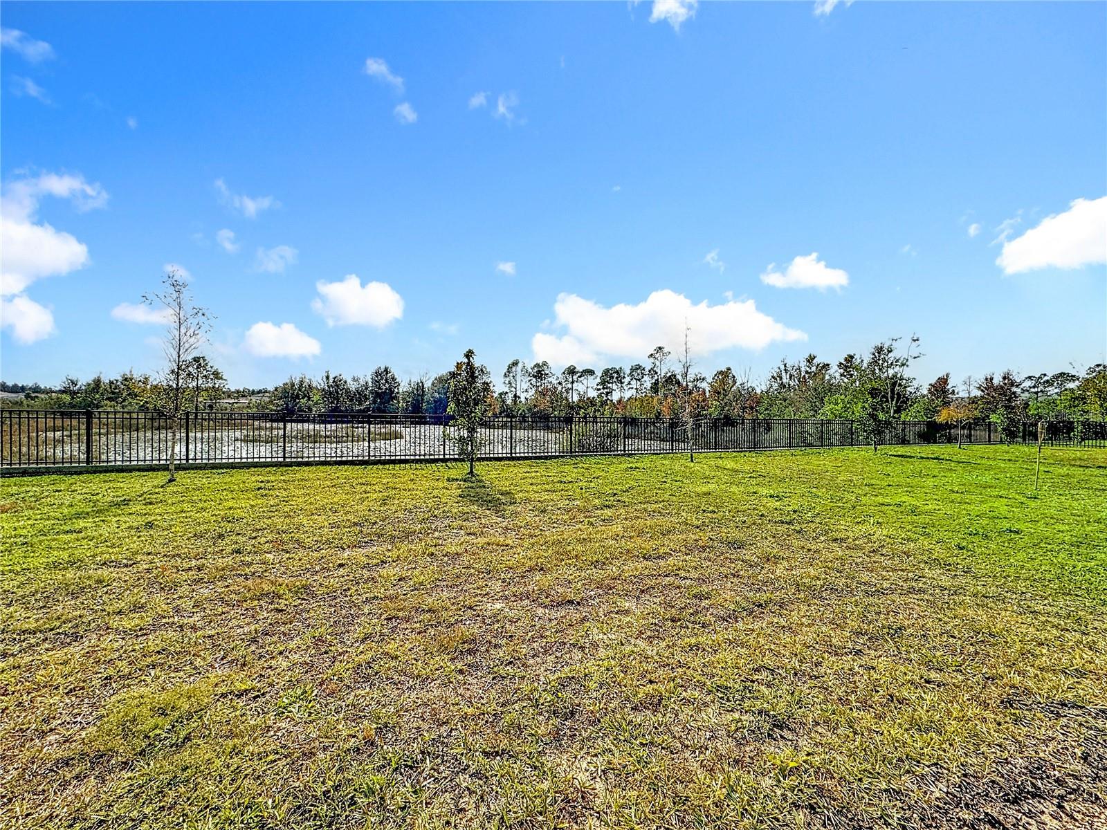 17152 CAGAN CROSSINGS BLVD, CLERMONT, FL — photo 41