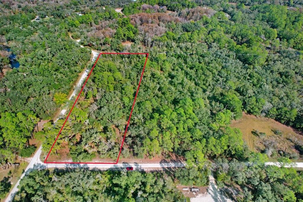 SONIA AVE, WEBSTER, FL — photo 11