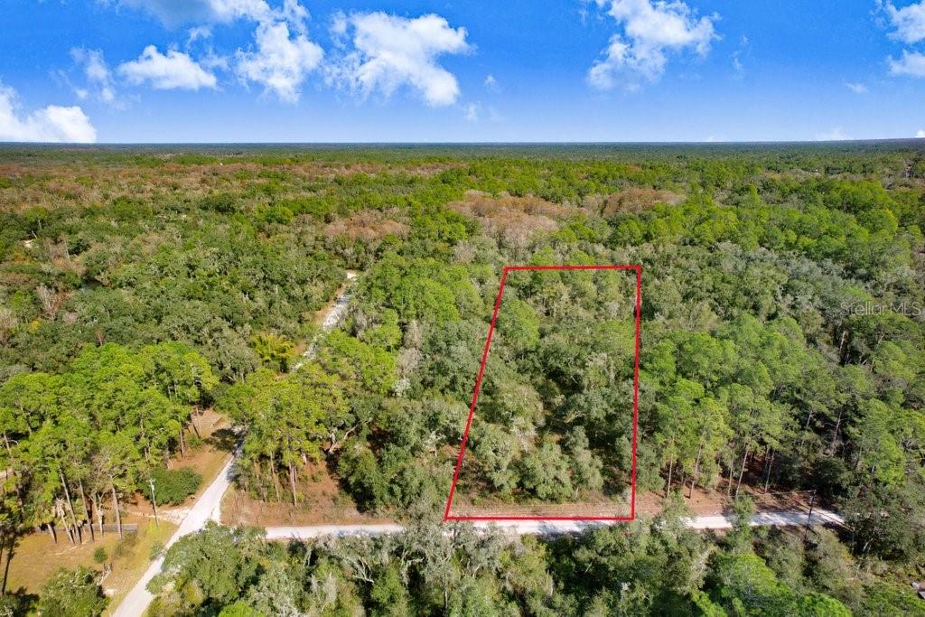 7292 SONIA AVE, WEBSTER, FL