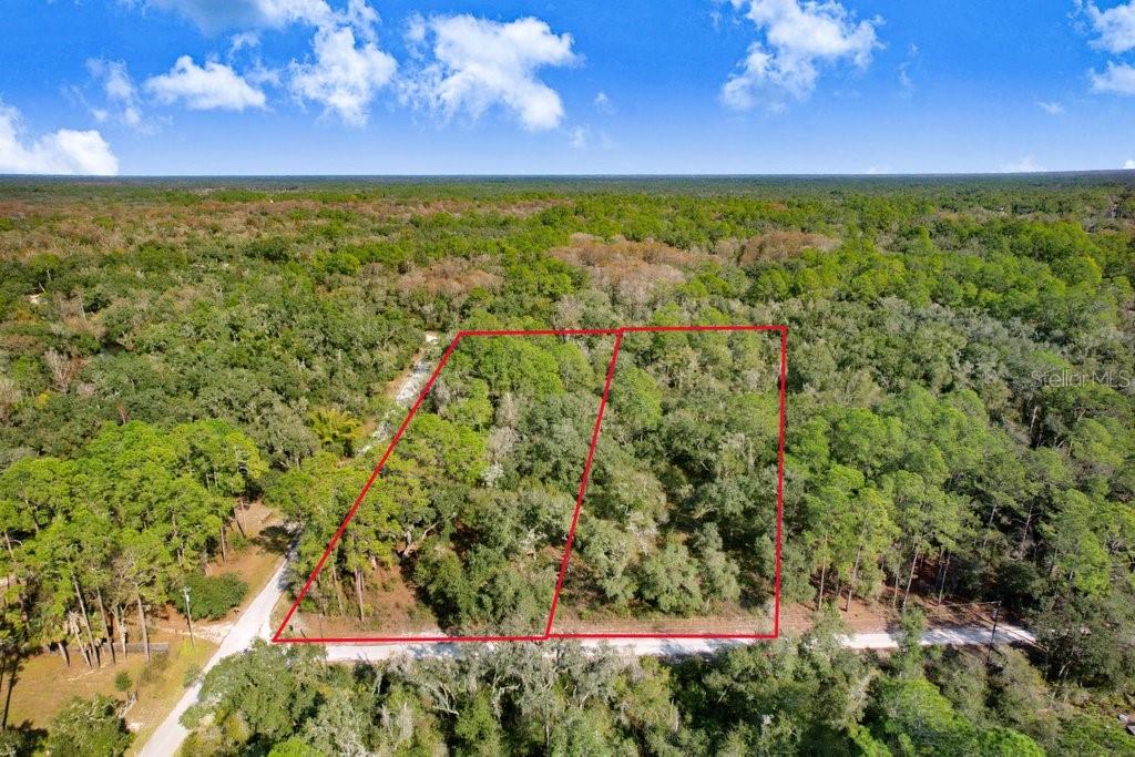 7292 SONIA AVE, WEBSTER, FL — photo 2