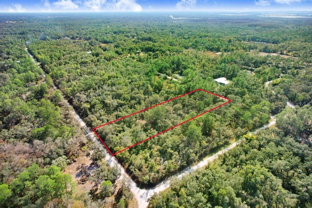7292 SONIA AVE, WEBSTER, FL — photo 5