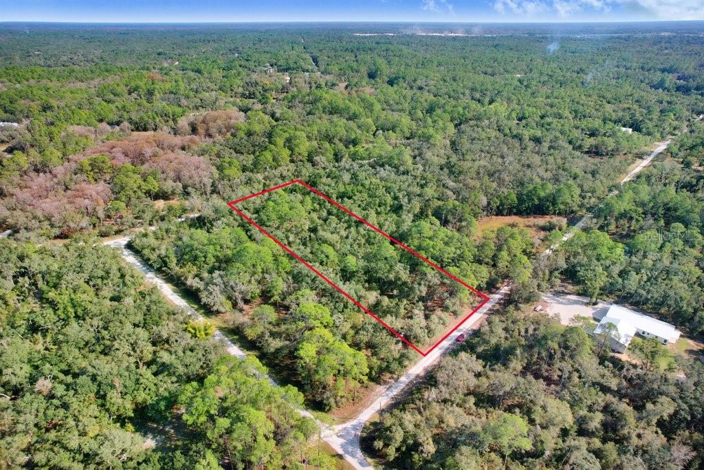 7292 SONIA AVE, WEBSTER, FL — photo 7