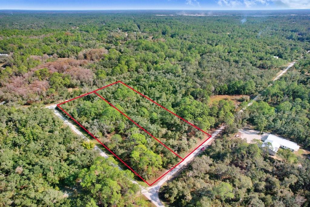 7292 SONIA AVE, WEBSTER, FL — photo 8