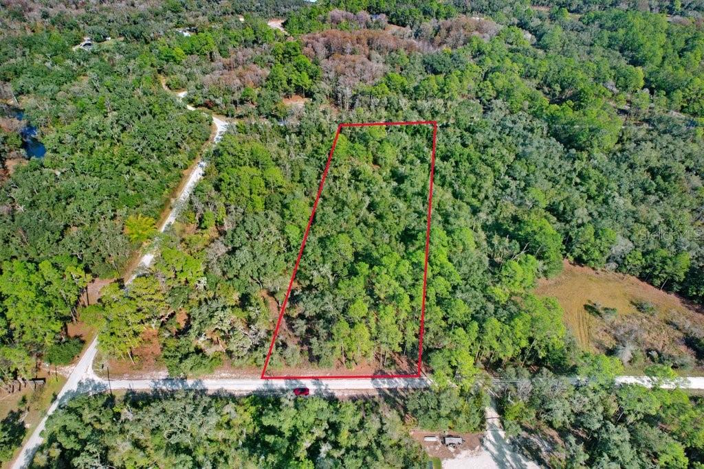7292 SONIA AVE, WEBSTER, FL — photo 11