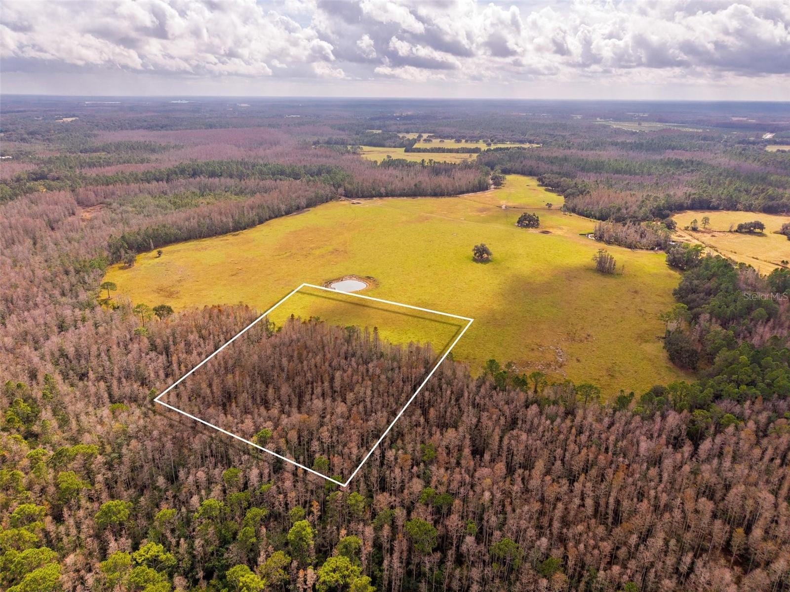 LINE BLOCK RD, CLERMONT, FL — photo 10