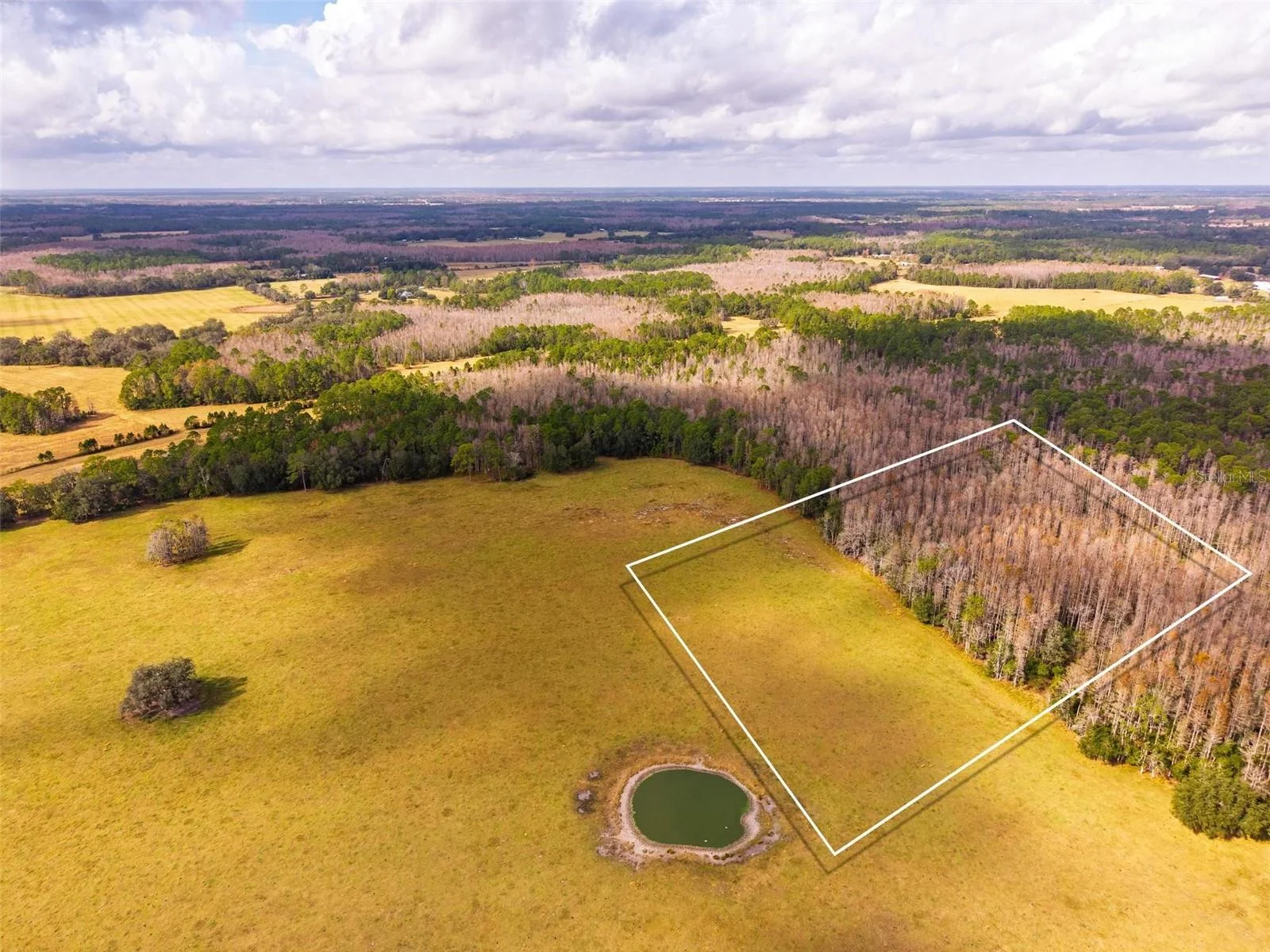 LINE BLOCK RD, CLERMONT, FL — photo 16