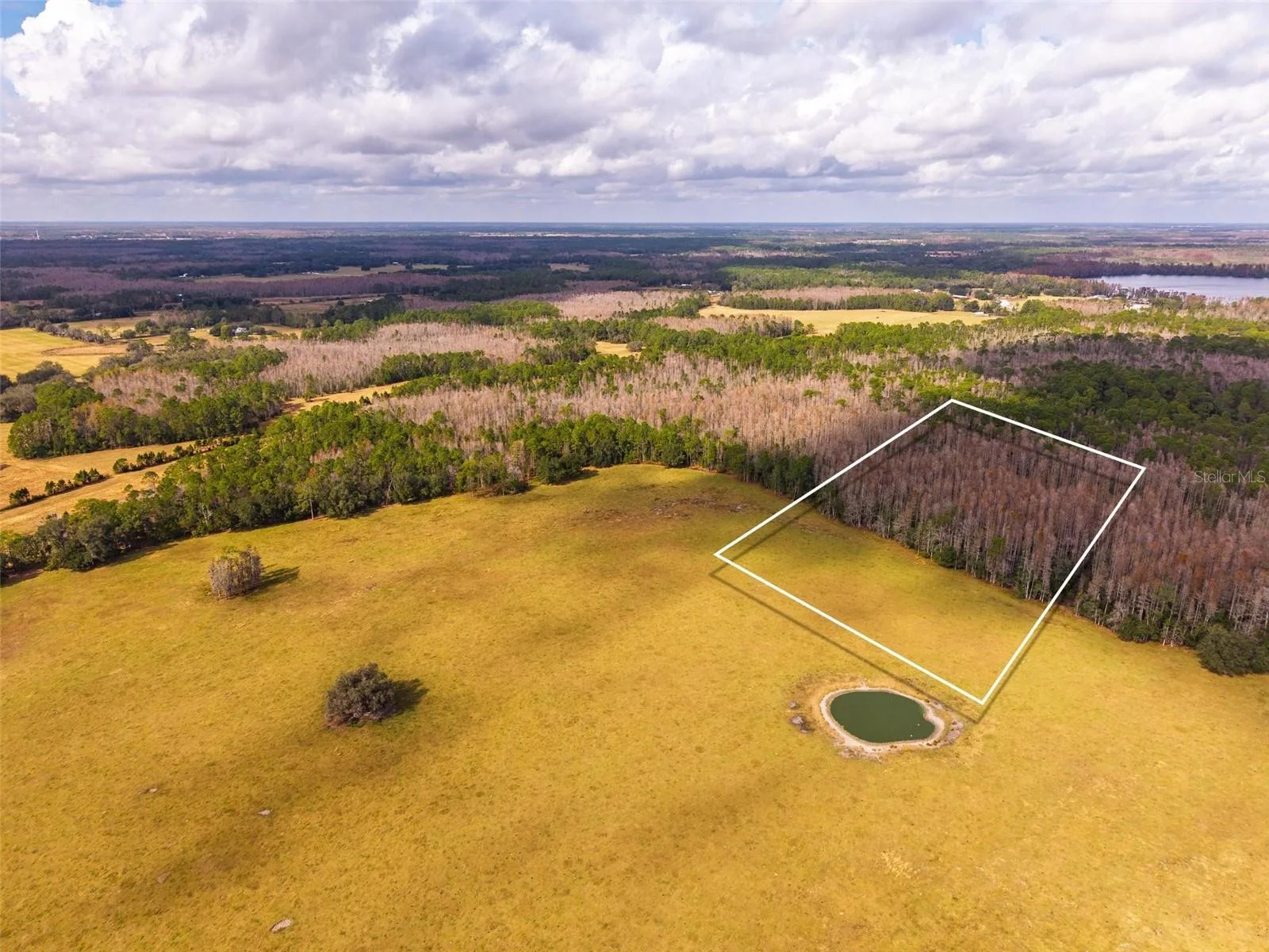 LINE BLOCK RD, CLERMONT, FL — photo 17