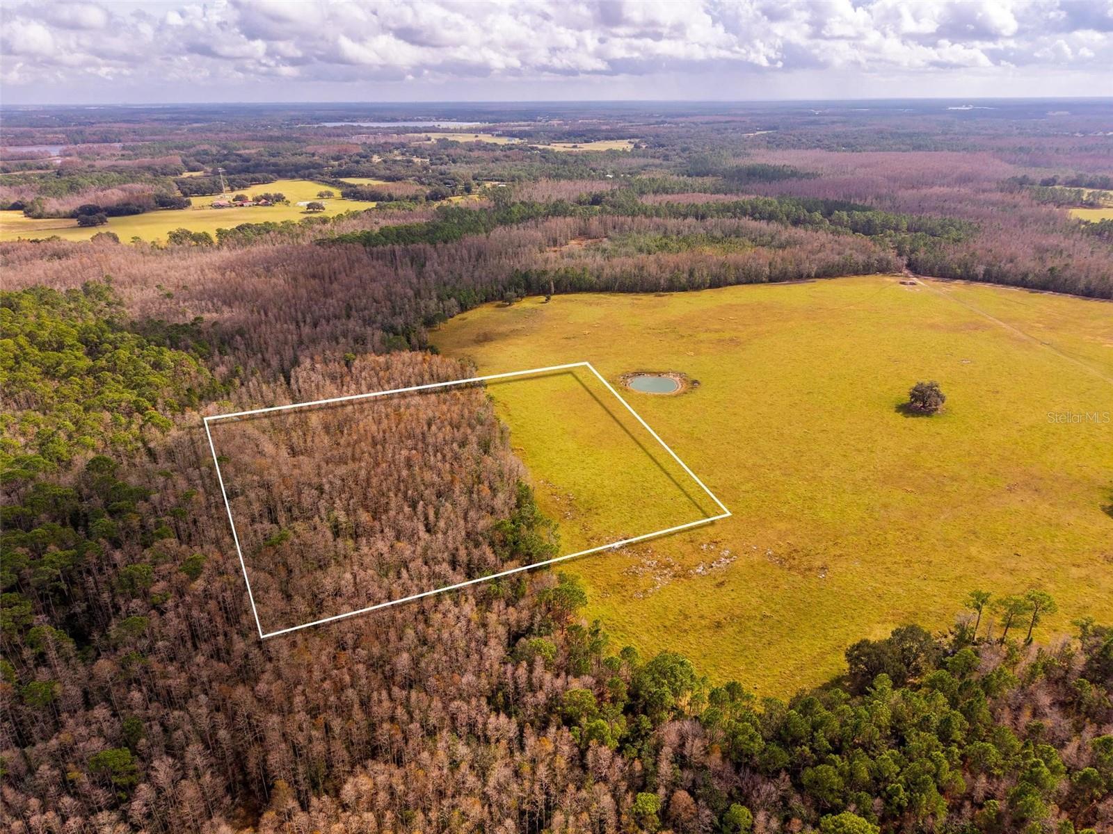 LINE BLOCK RD, CLERMONT, FL — photo 29