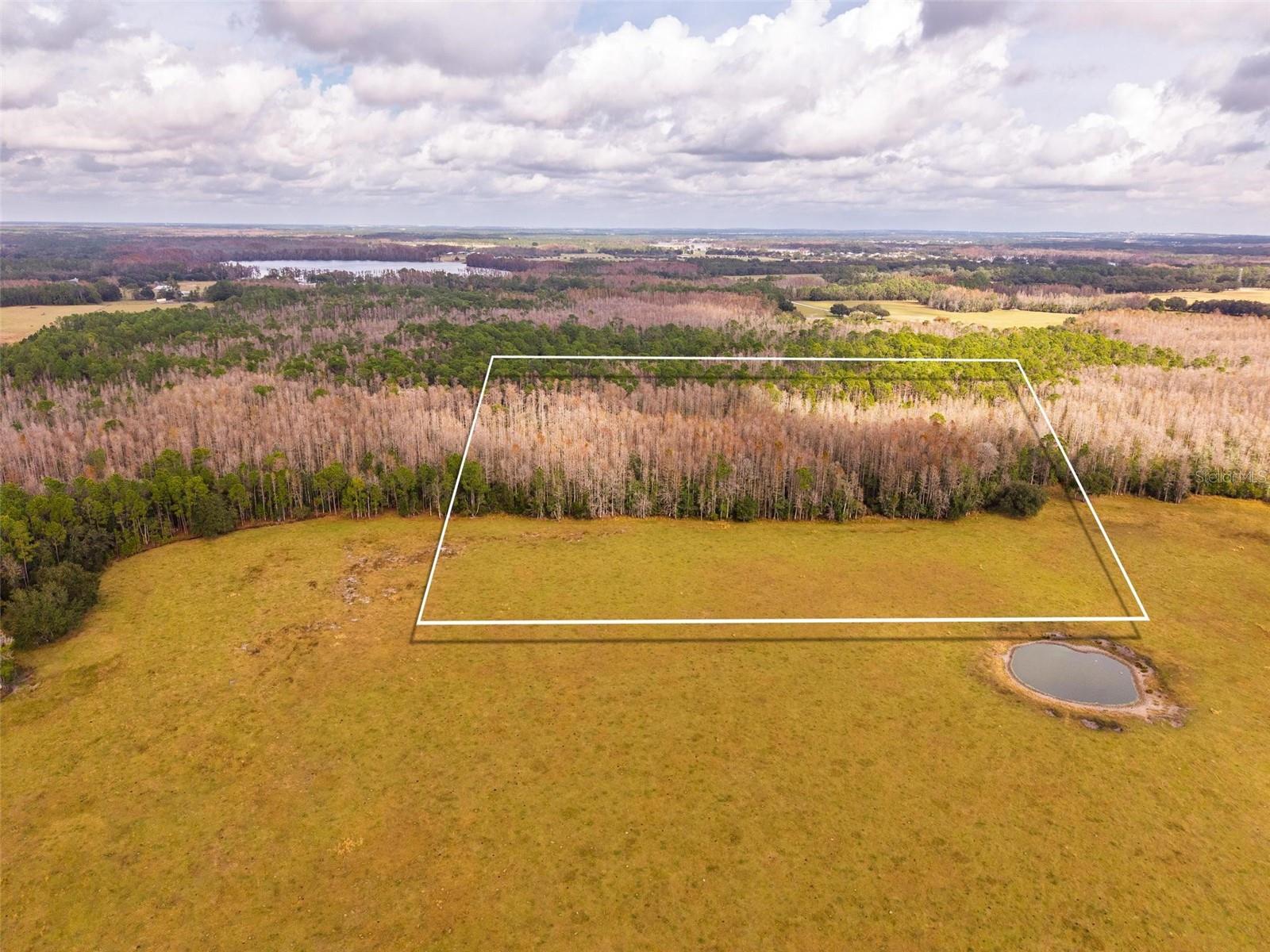 LINE BLOCK RD, CLERMONT, FL — photo 33