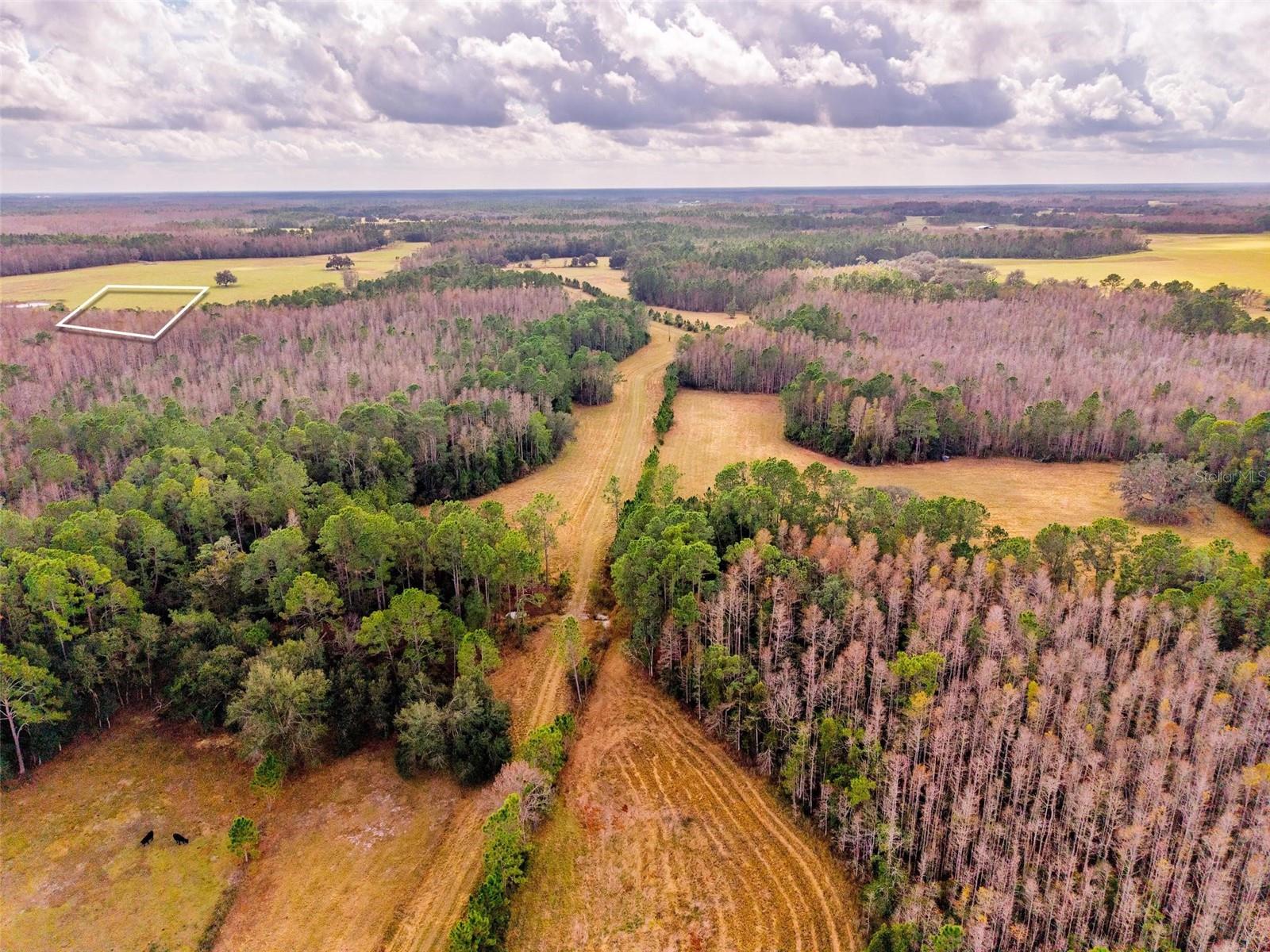 LINE BLOCK RD, CLERMONT, FL — photo 38