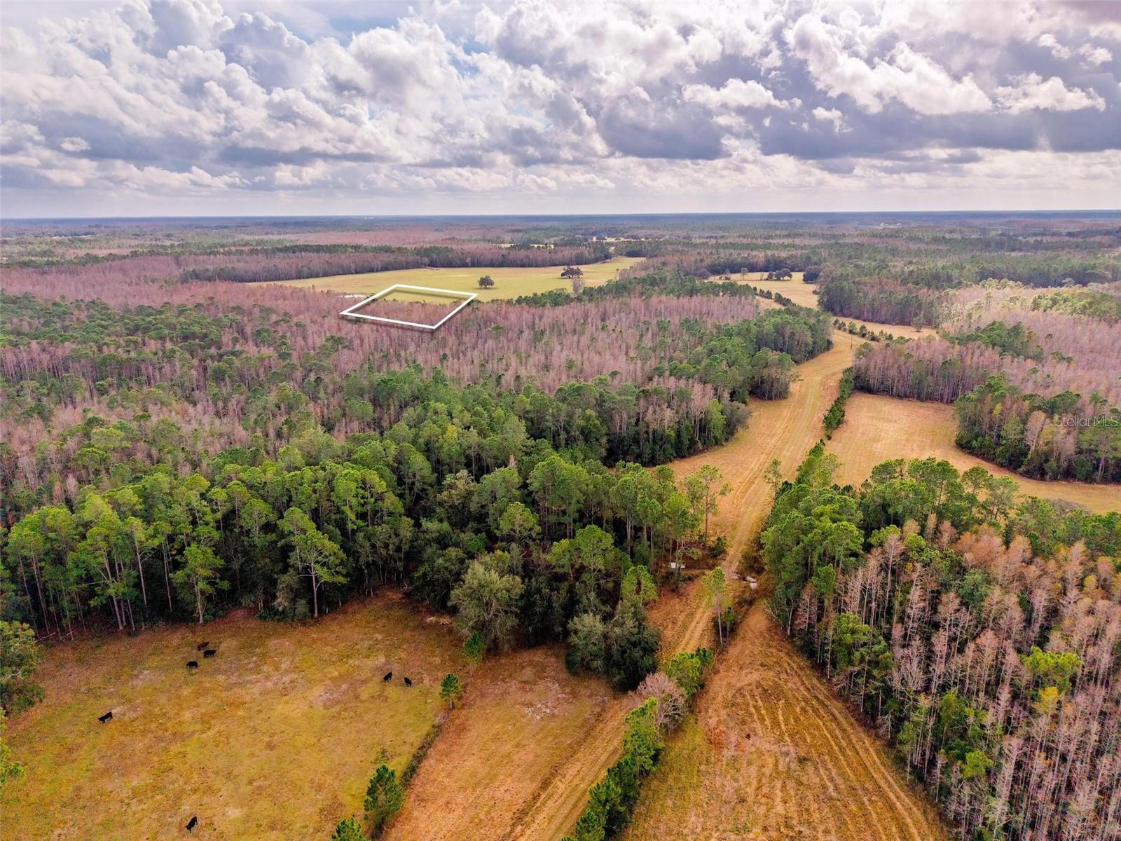 LINE BLOCK RD, CLERMONT, FL — photo 40