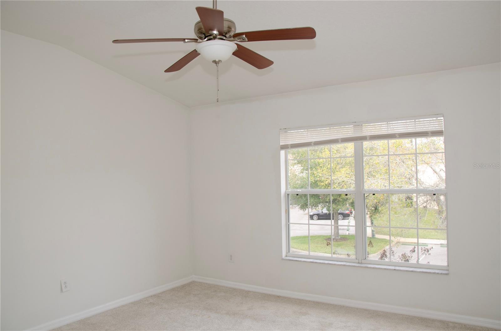 30352 ELDERWOOD DR, WESLEY CHAPEL, FL — photo 9