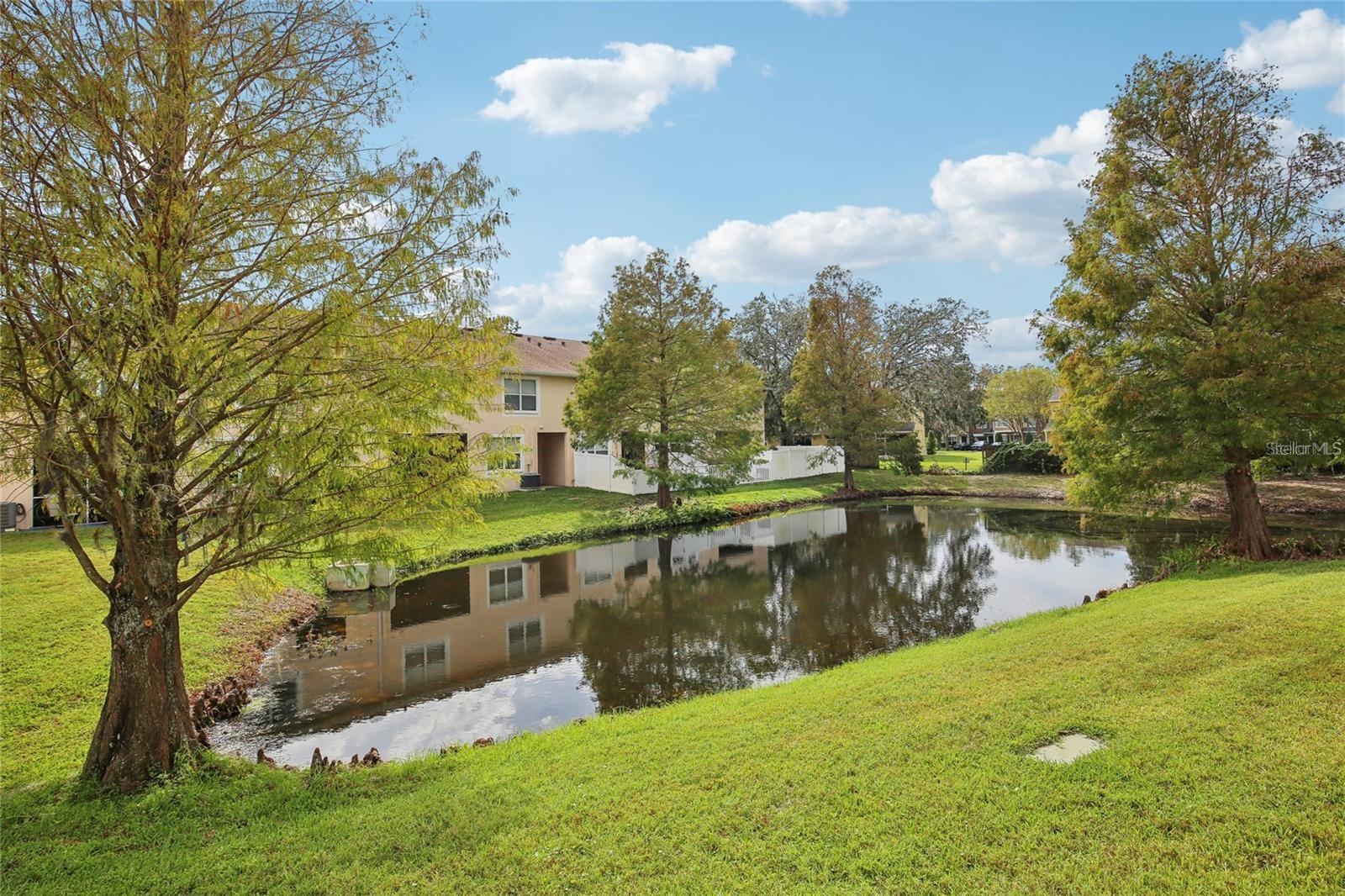 30352 ELDERWOOD DR, WESLEY CHAPEL, FL — photo 15