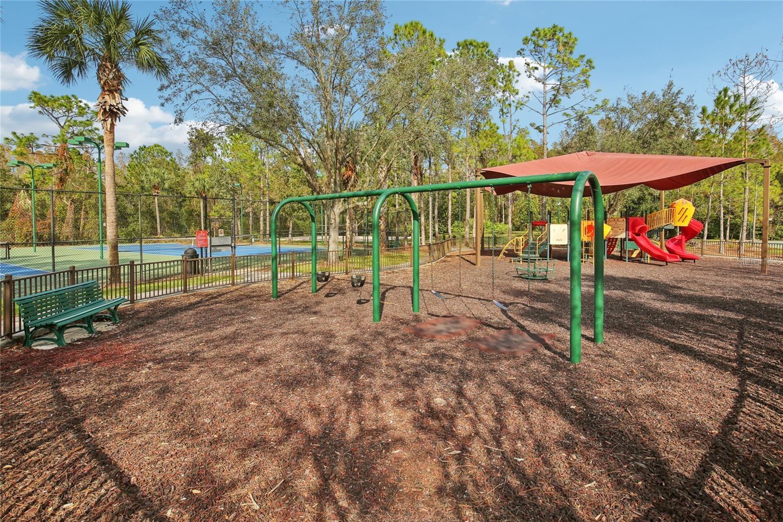 30352 ELDERWOOD DR, WESLEY CHAPEL, FL — photo 19