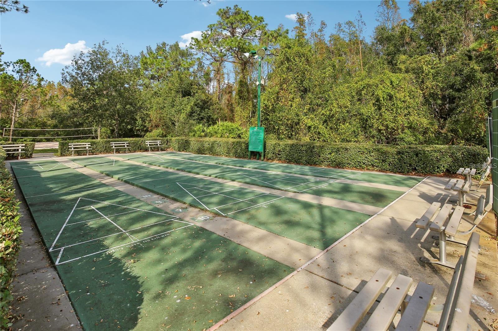 30352 ELDERWOOD DR, WESLEY CHAPEL, FL — photo 20