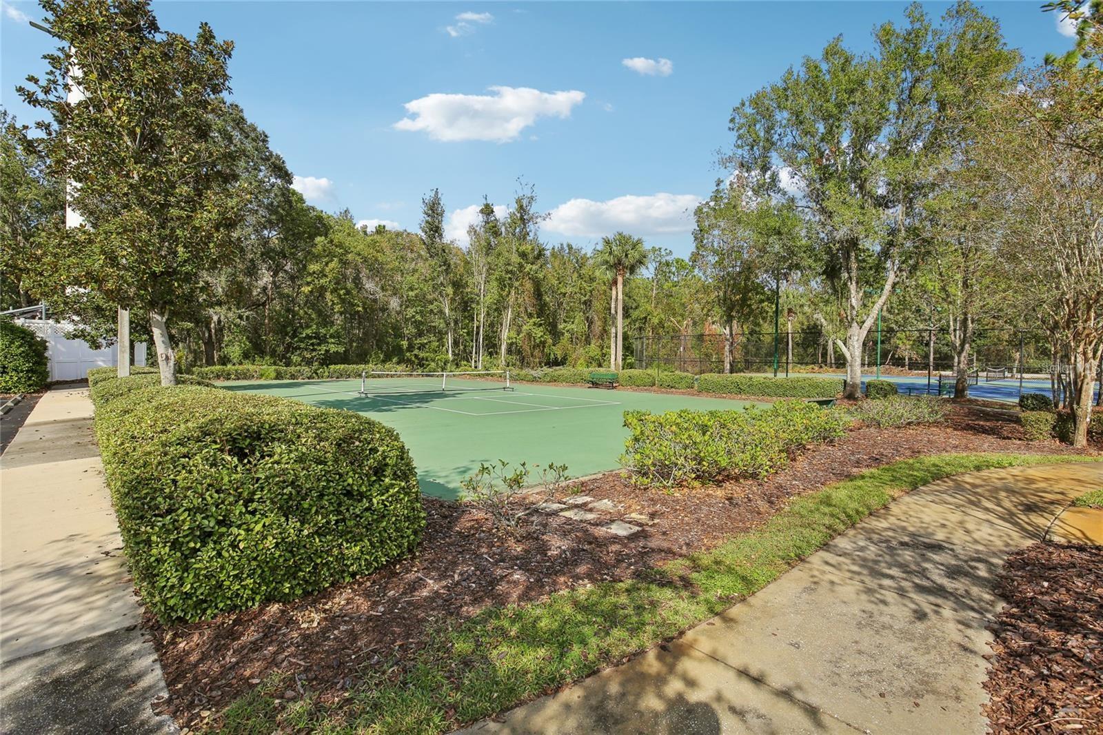 30352 ELDERWOOD DR, WESLEY CHAPEL, FL — photo 23